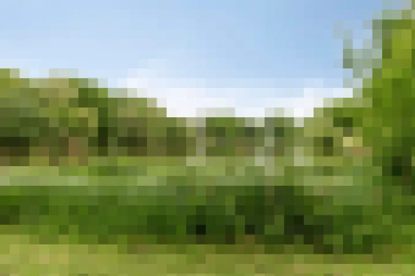 Hoenderberglaan 23 Eindhoven thumbnail 44
