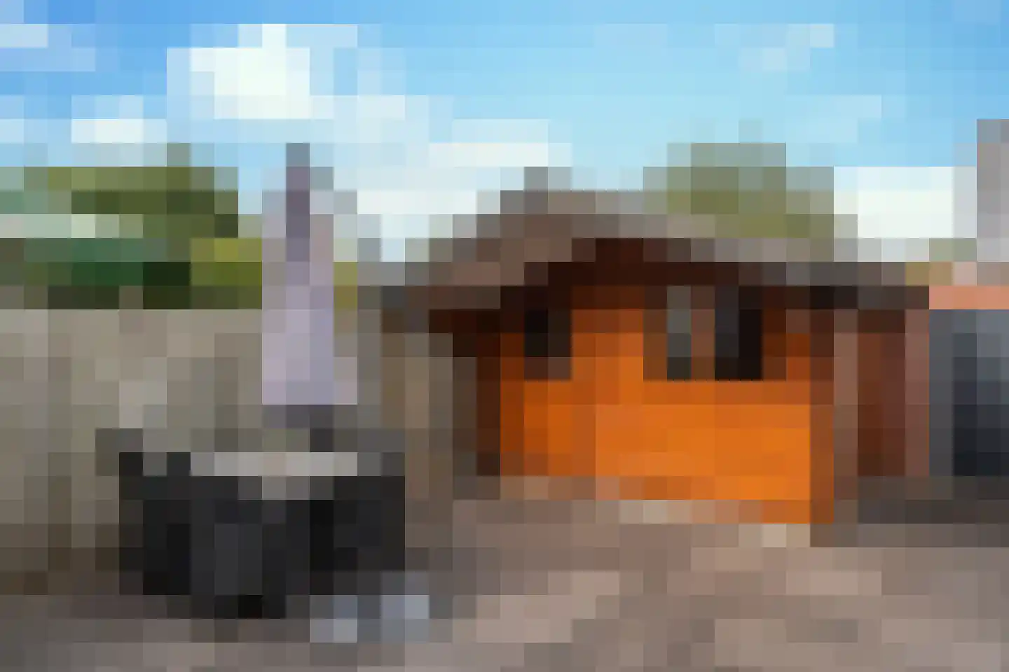 Hoenderbosplein 113 Uden thumbnail 21
