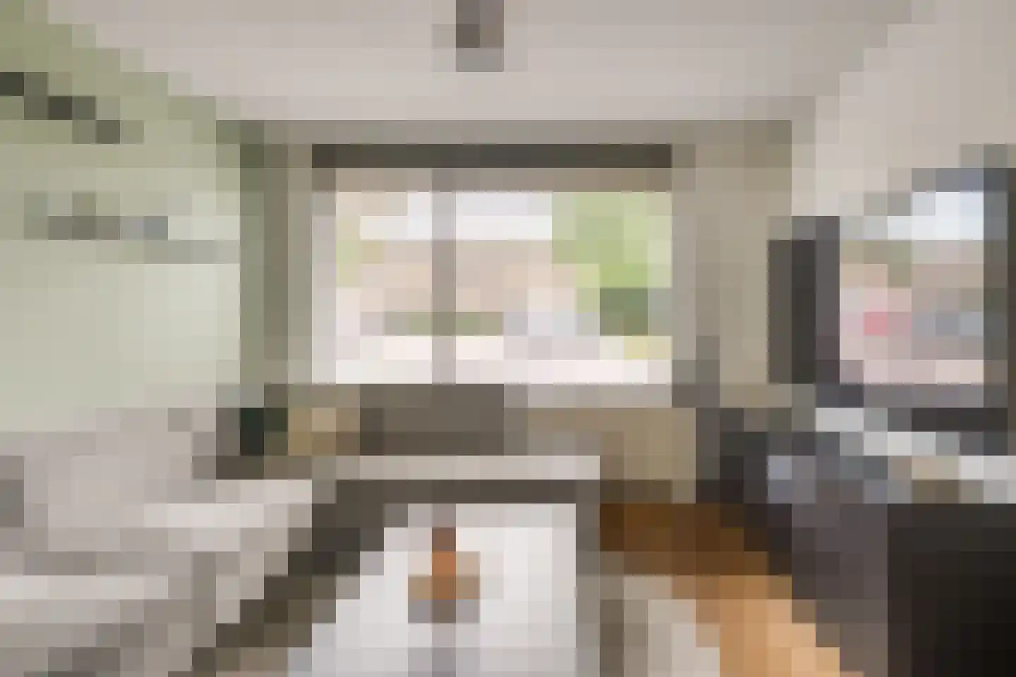 Hoenderbosplein 113 Uden thumbnail 8
