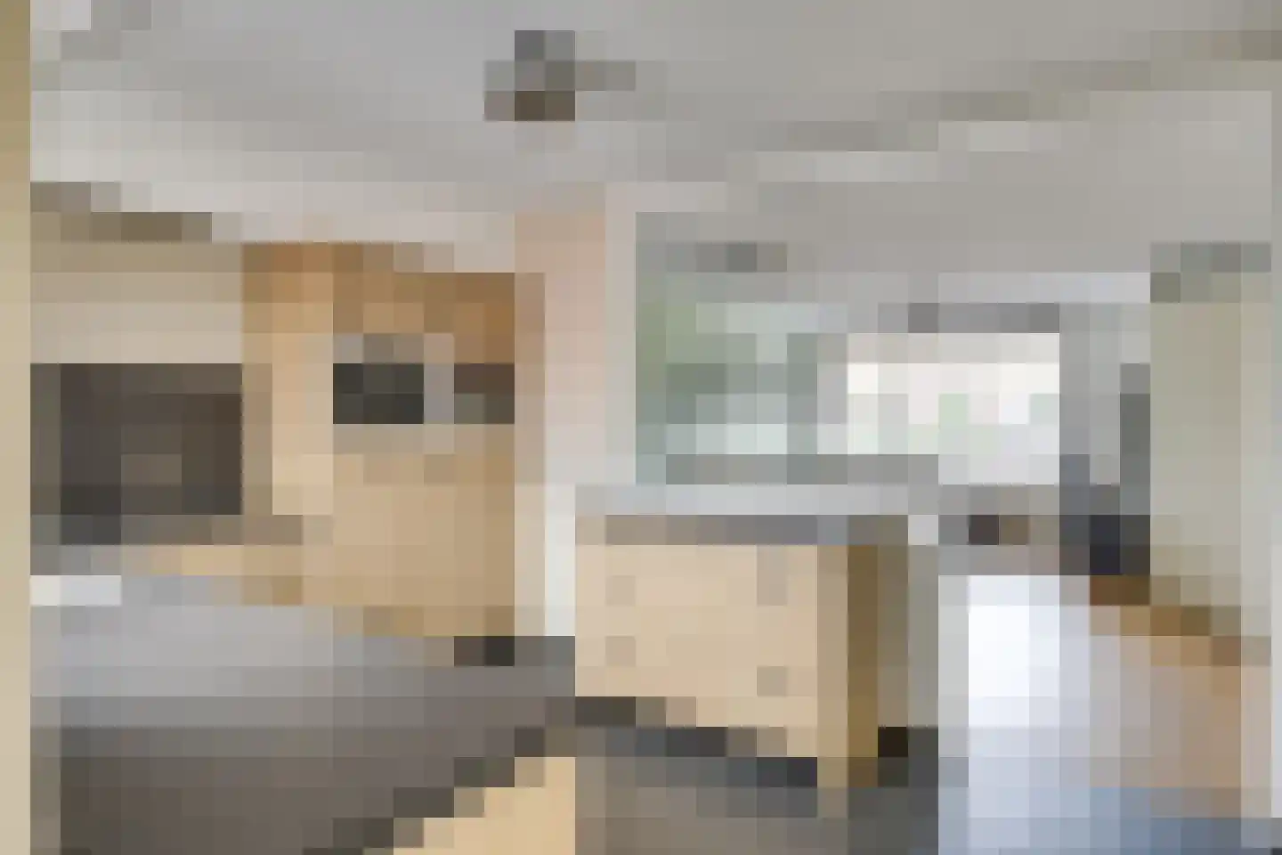 Hoenderbosplein 113 Uden thumbnail 9