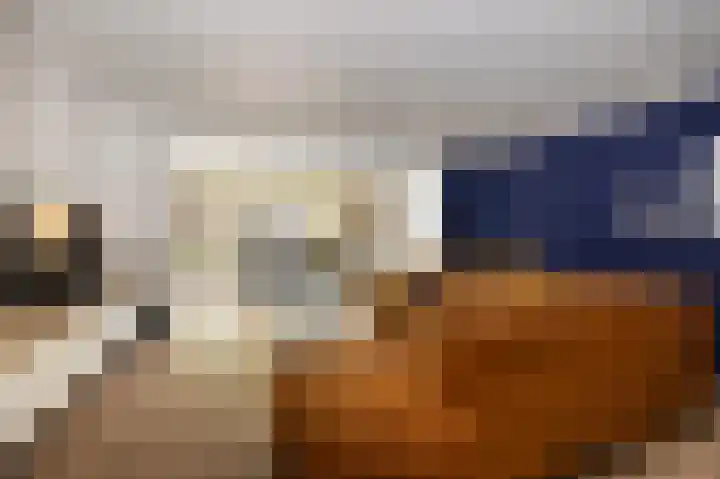 Hoenderbosplein 149 Uden thumbnail 14