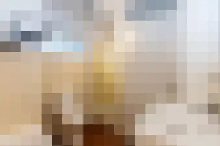 Hoenderbosplein 149 Uden thumbnail 25