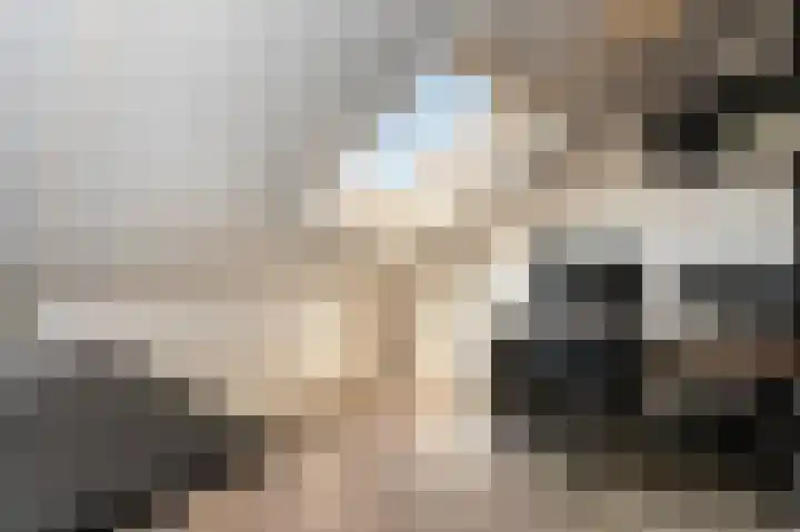 Hoenderbosplein 149 Uden thumbnail 30