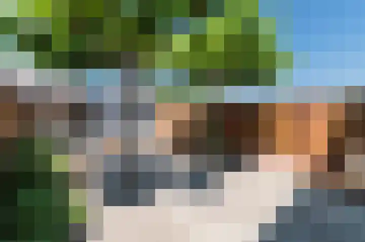 Hoenderbosplein 149 Uden thumbnail 32