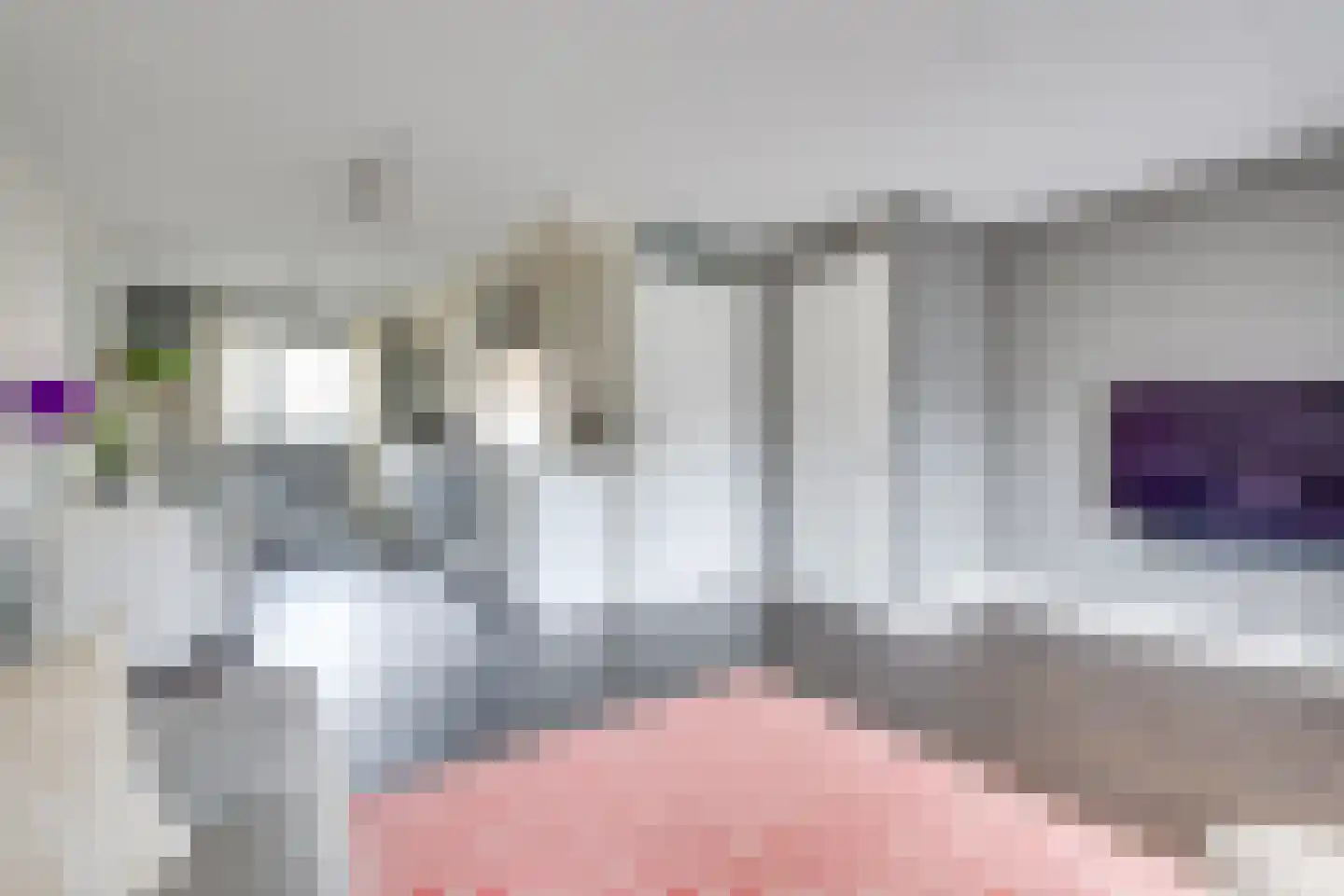 Hoenderbosplein 72 Uden thumbnail 4