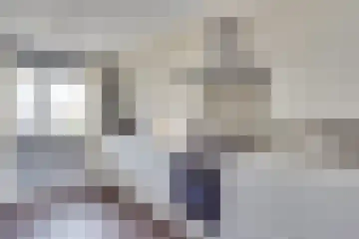 Hoenderbosplein 72 Uden thumbnail 8