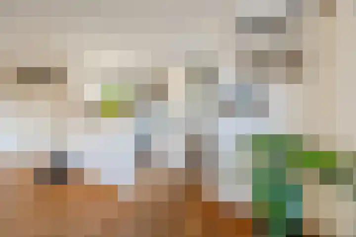 Hoenderbosplein 83 Uden thumbnail 17