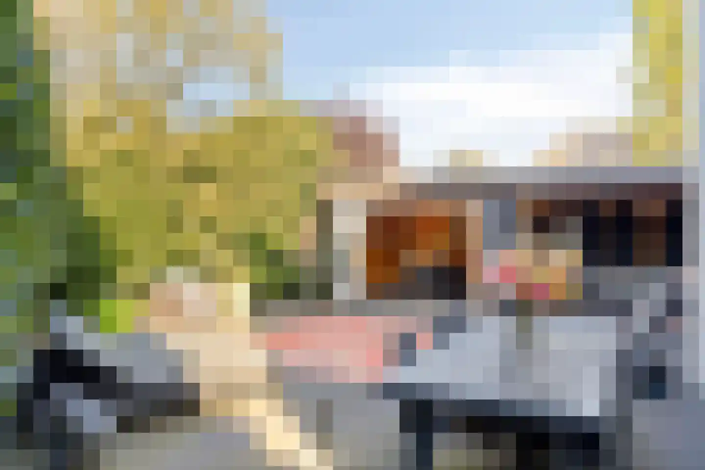 Hoenderhei 12 Best thumbnail 13