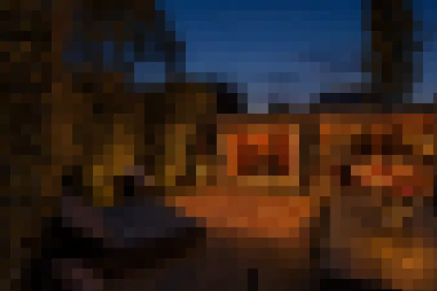 Hoenderhei 12 Best thumbnail 14