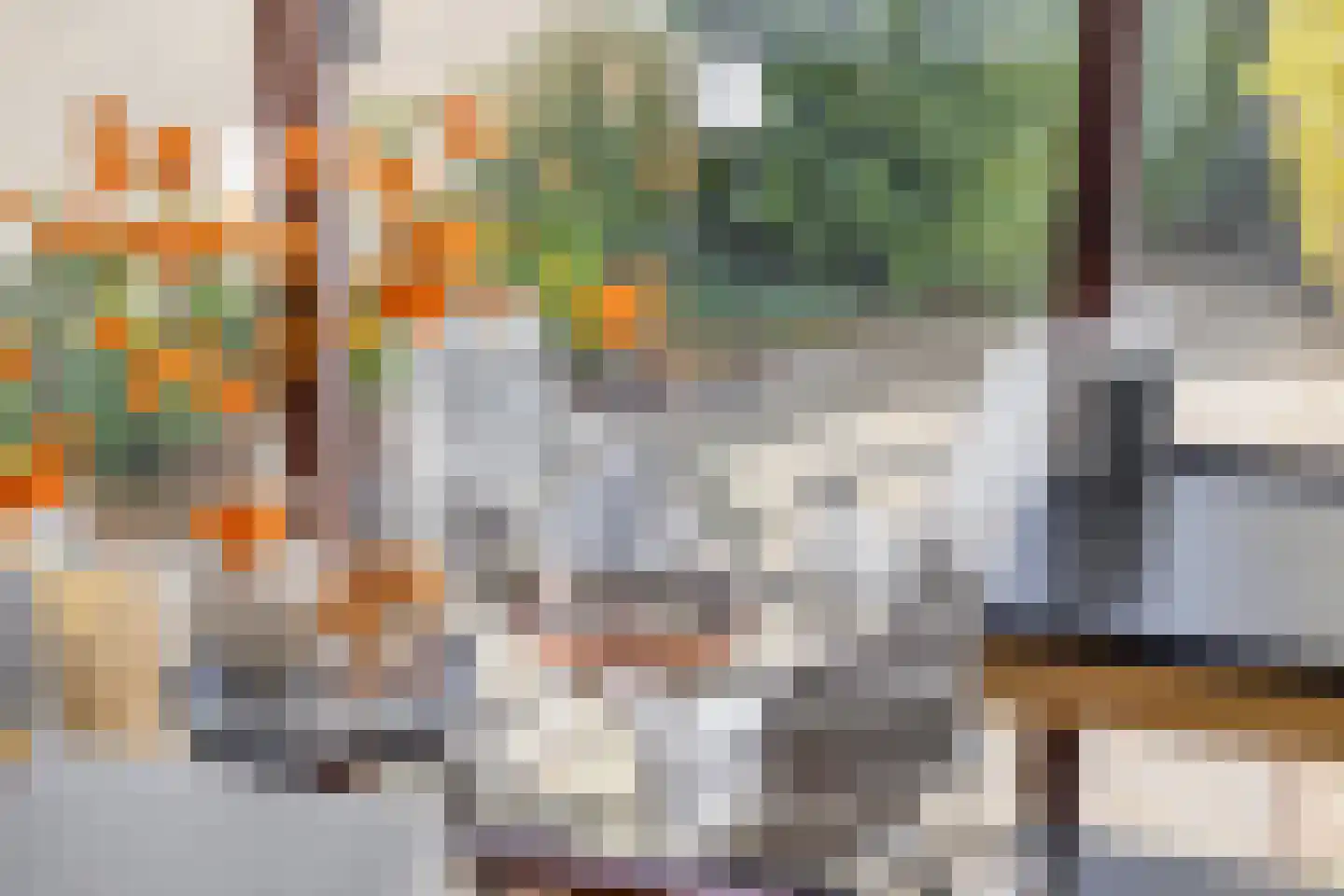 Hoenderhei 12 Best thumbnail 19
