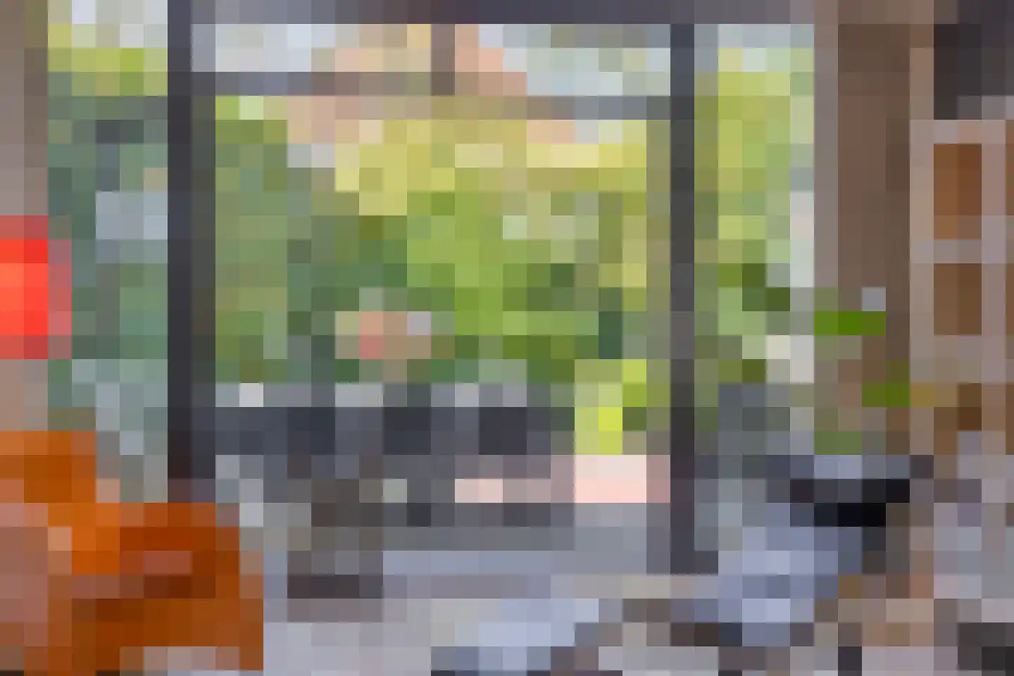 Hoenderhei 12 Best thumbnail 21