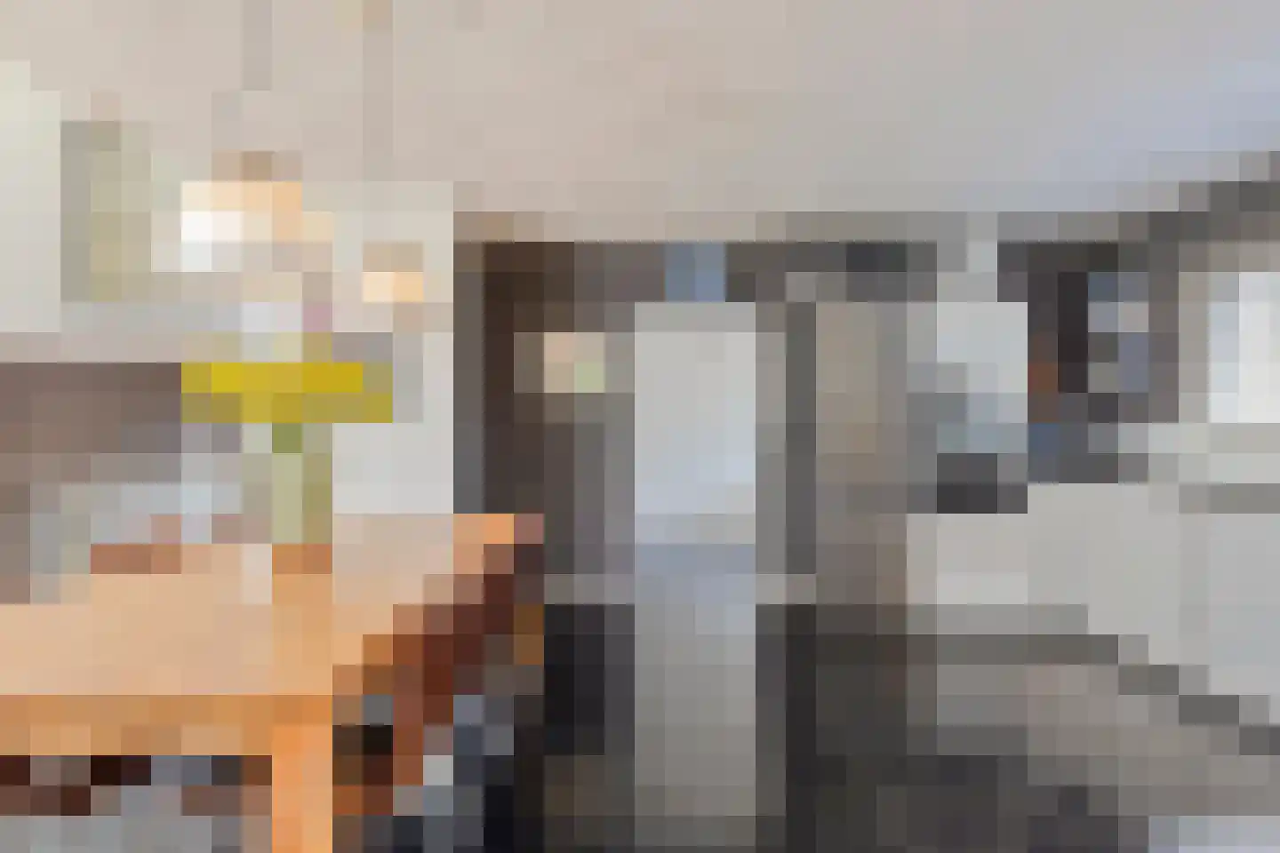 Hoenderhei 12 Best foto 3