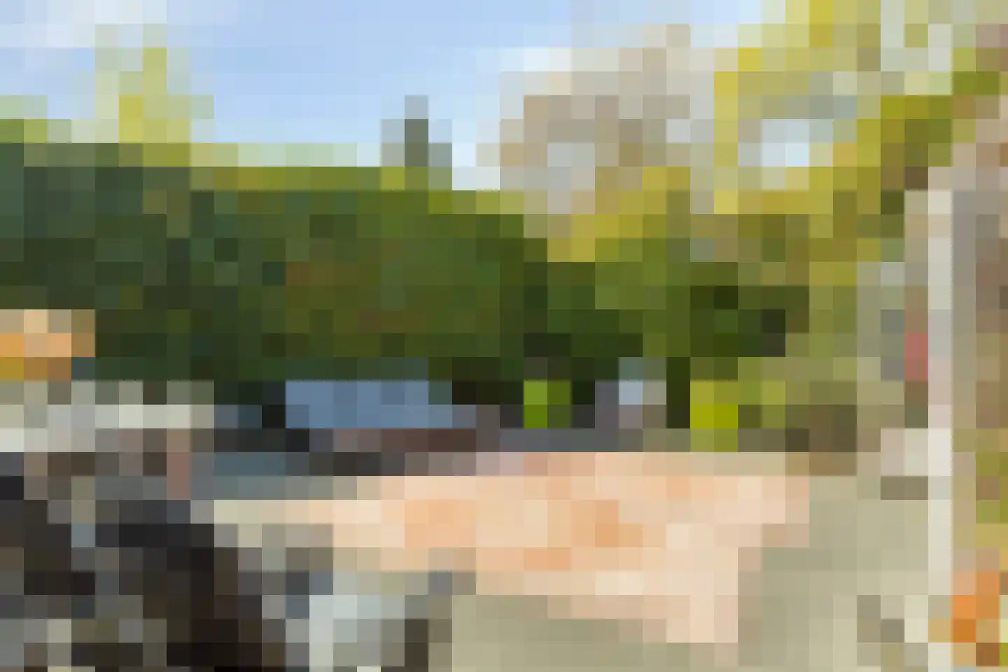 Hoenderhei 12 Best thumbnail 48