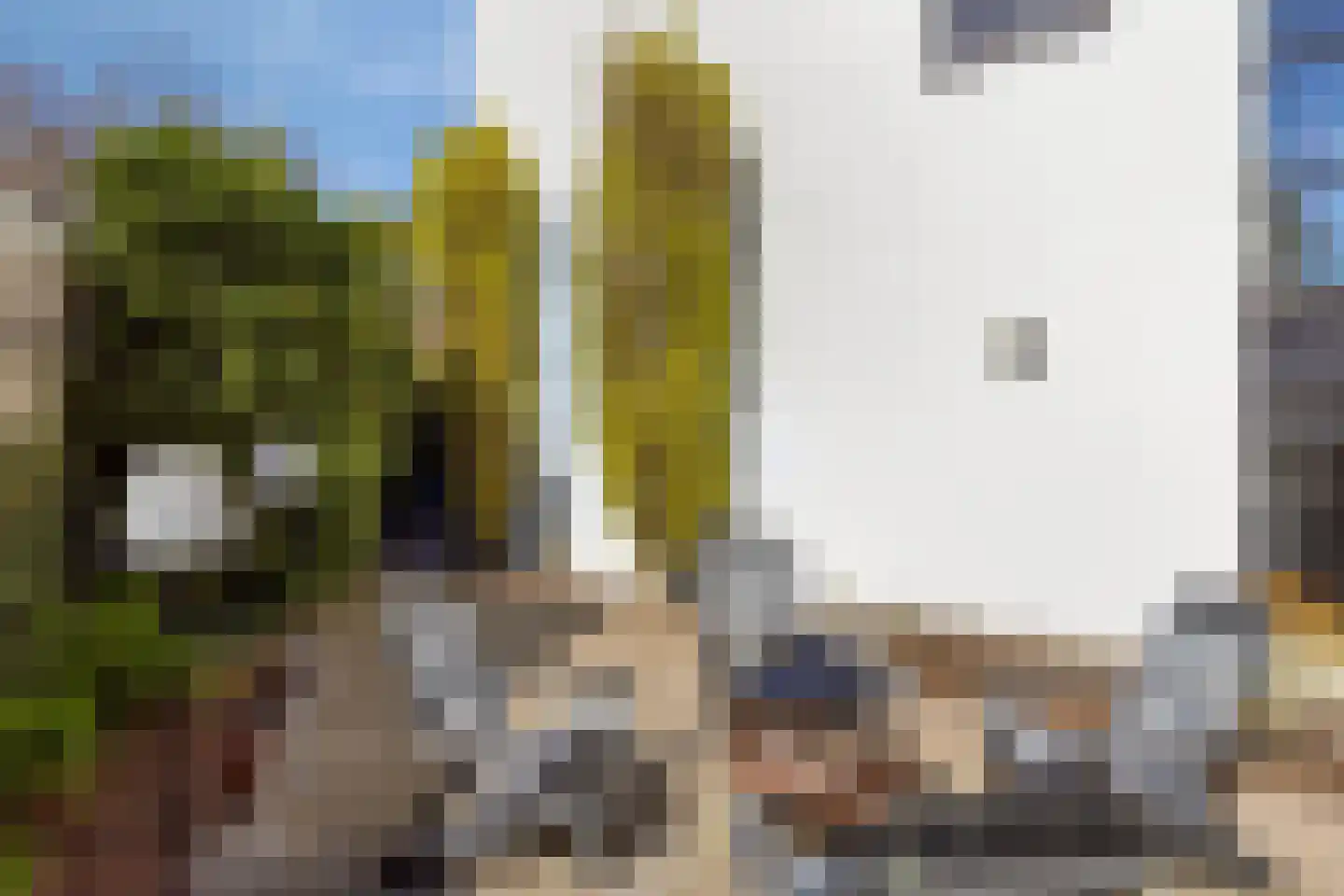 Hoenderhei 12 Best thumbnail 50