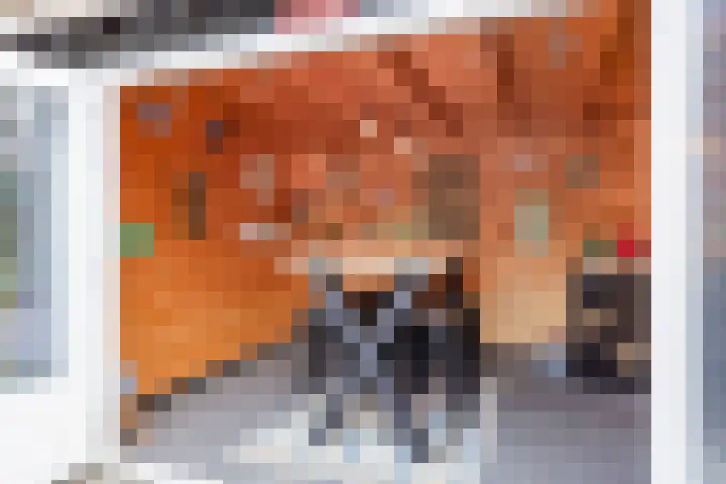 Hoenderhei 12 Best thumbnail 53