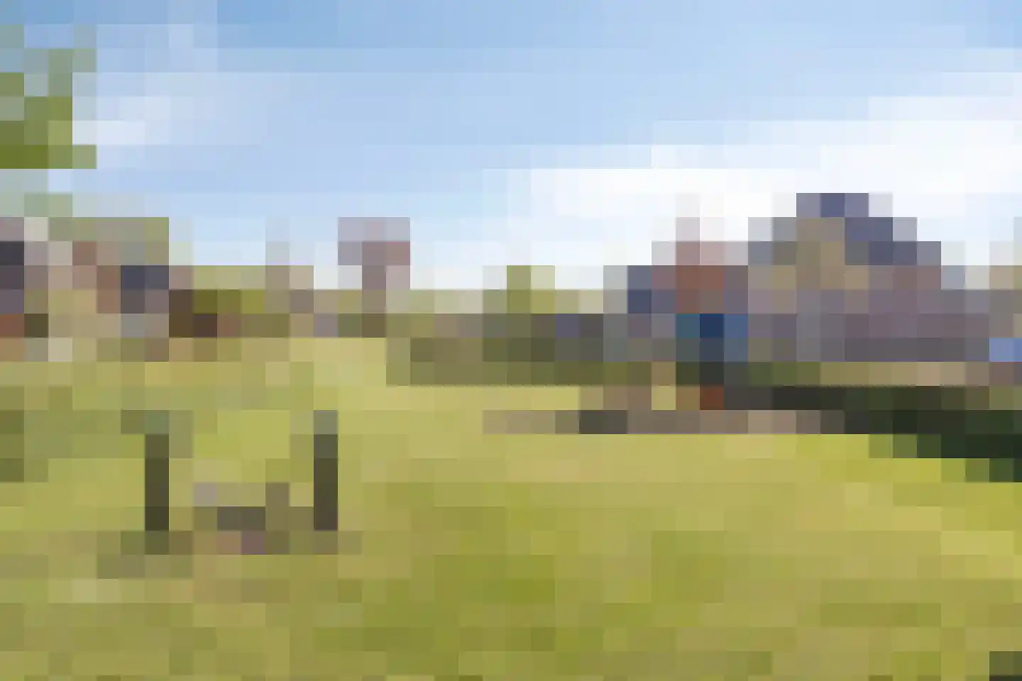 Hoenderhei 12 Best thumbnail 63
