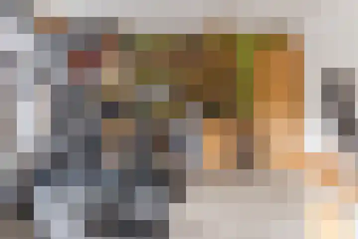 Hoenderhei 28 Best thumbnail 10