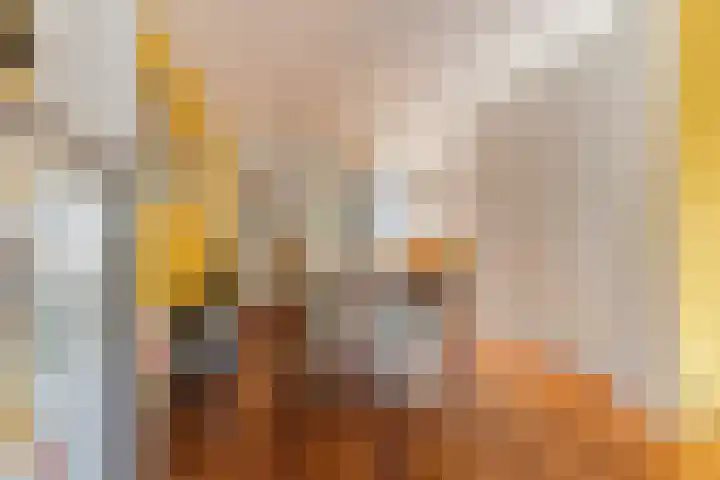 Hoenderhei 28 Best thumbnail 12