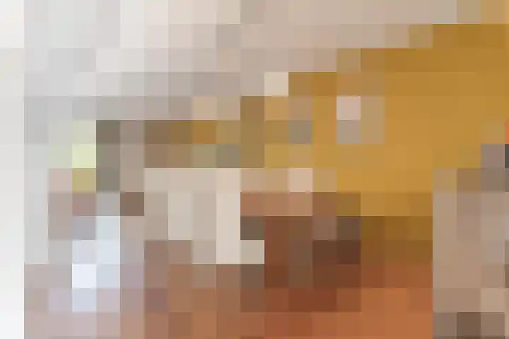 Hoenderhei 28 Best thumbnail 13