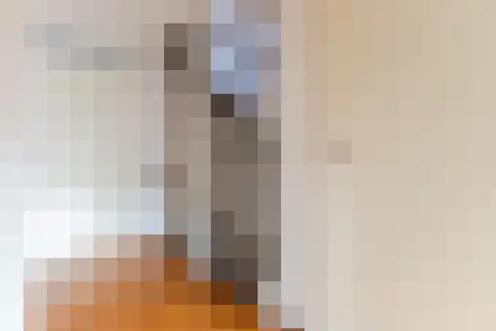Hoenderhei 28 Best thumbnail 18