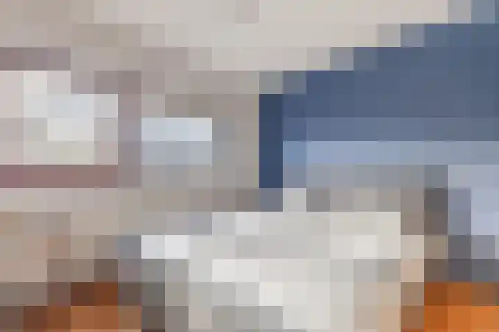Hoenderhei 28 Best thumbnail 22