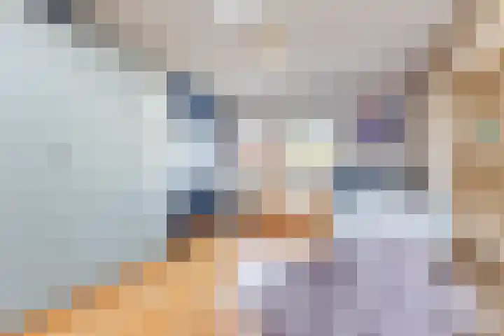 Hoenderhei 28 Best thumbnail 27