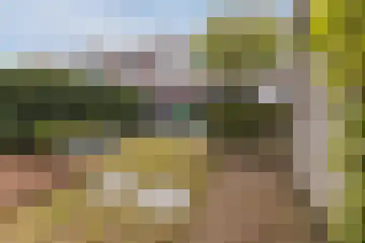 Hoenderhei 28 Best thumbnail 37