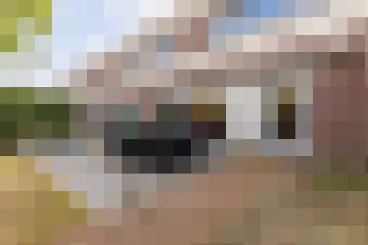 Hoenderhei 28 Best thumbnail 38