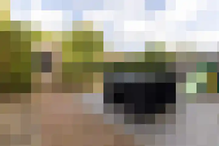 Hoenderhei 28 Best thumbnail 39