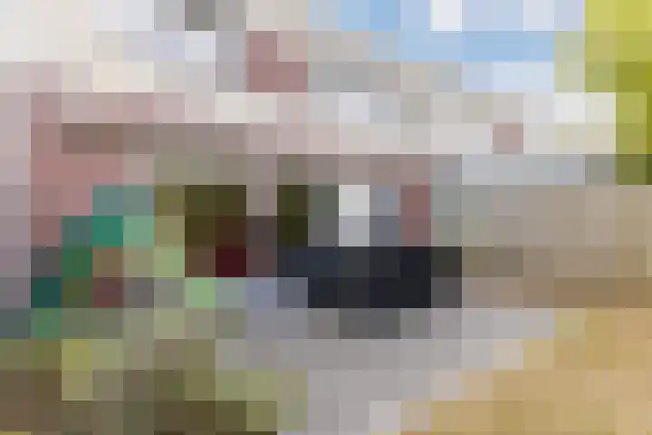 Hoenderhei 28 Best thumbnail 40