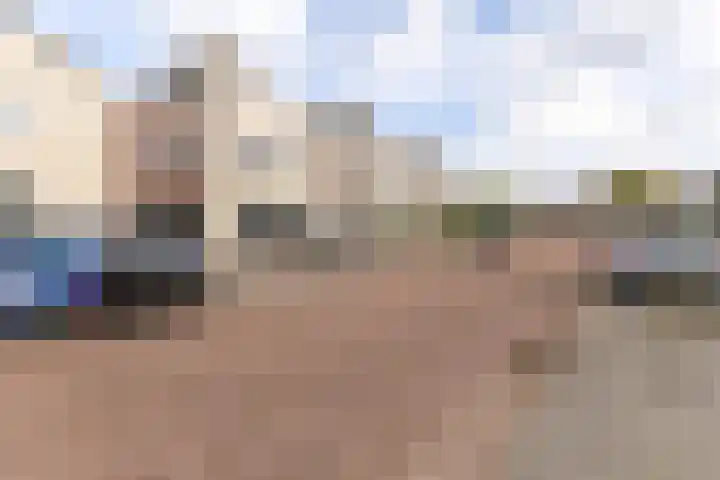 Hoenderhei 28 Best thumbnail 41