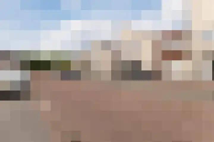 Hoenderhei 28 Best thumbnail 42