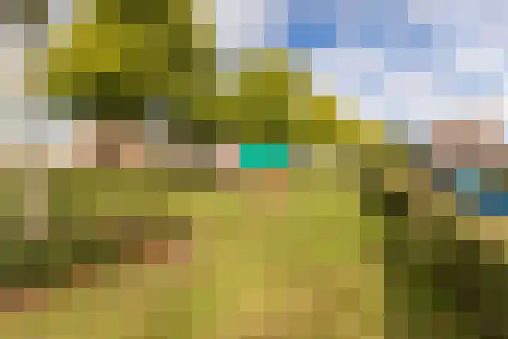 Hoenderhei 28 Best thumbnail 45
