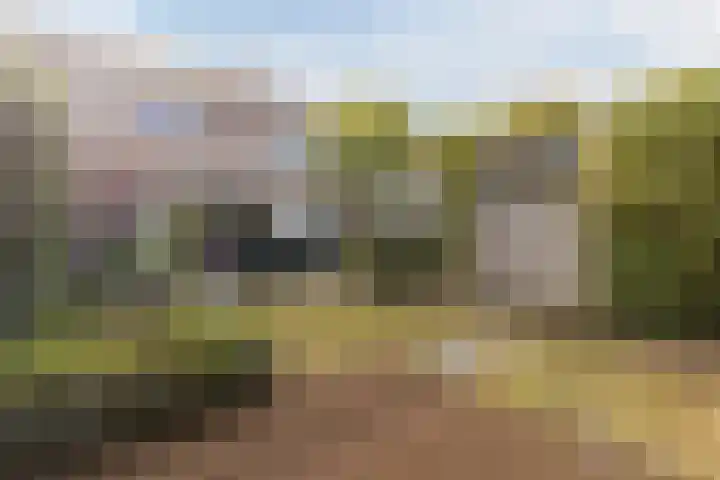 Hoenderhei 28 Best thumbnail 5