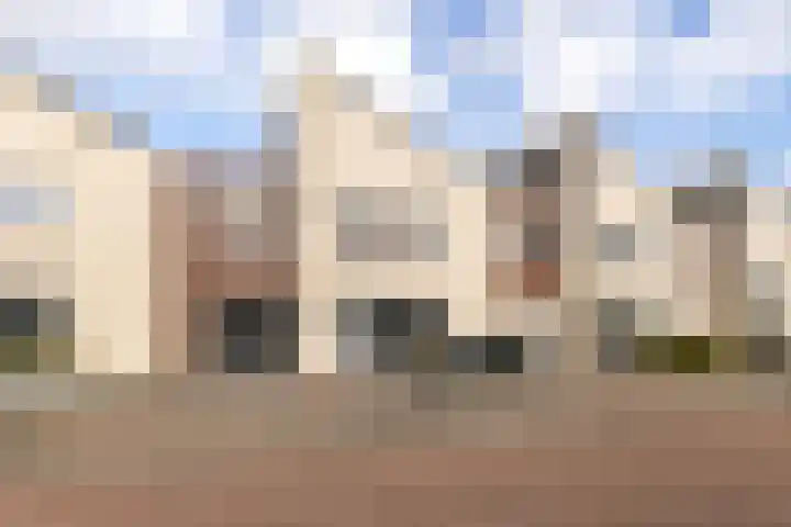 Hoenderhei 28 Best thumbnail 6