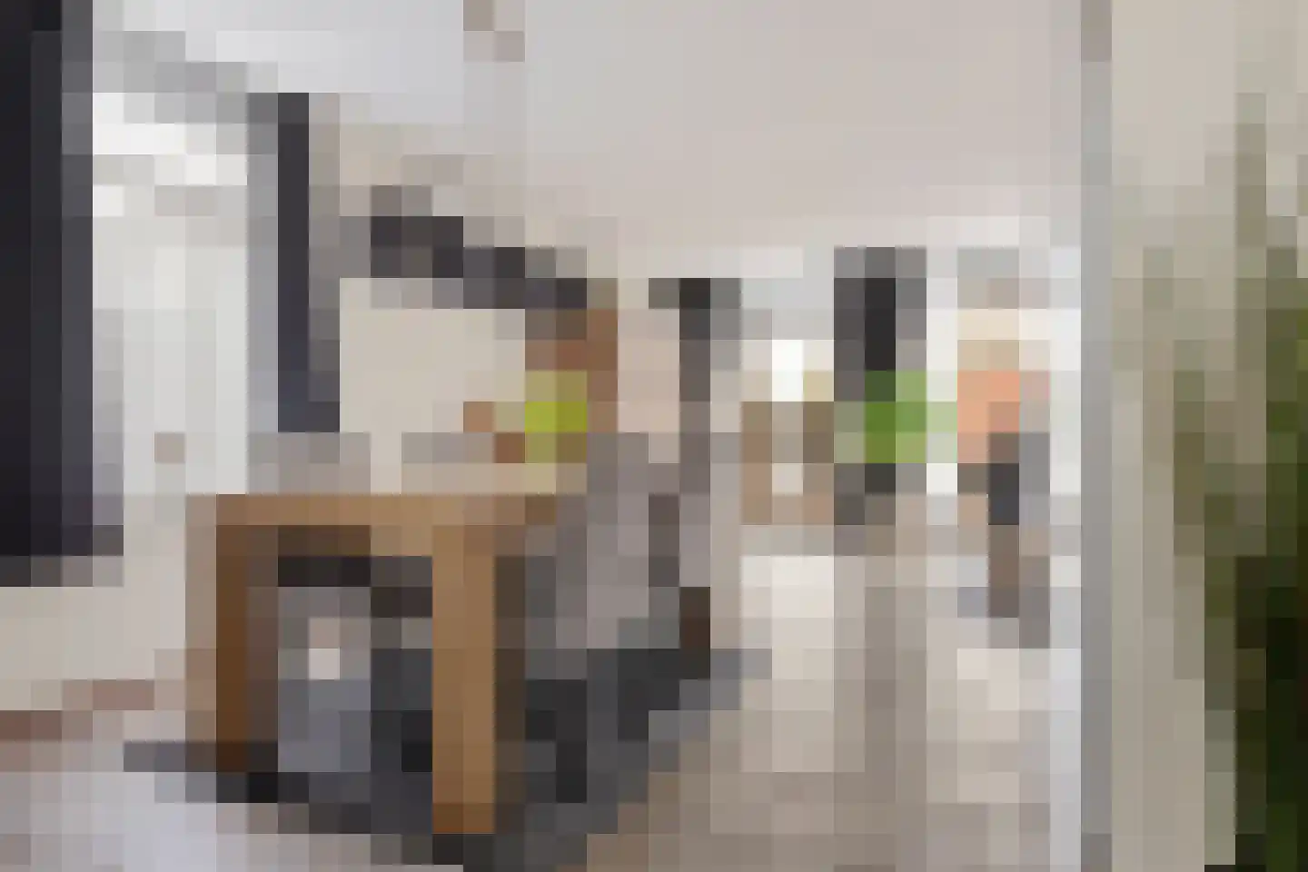 Hoenderhei 29 Best thumbnail 11