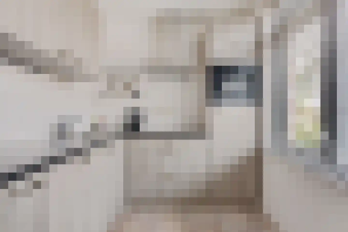 Hoenderhei 29 Best thumbnail 12