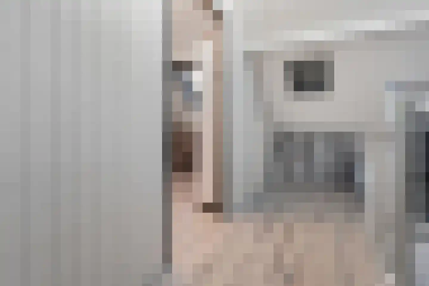 Hoenderhei 29 Best thumbnail 27