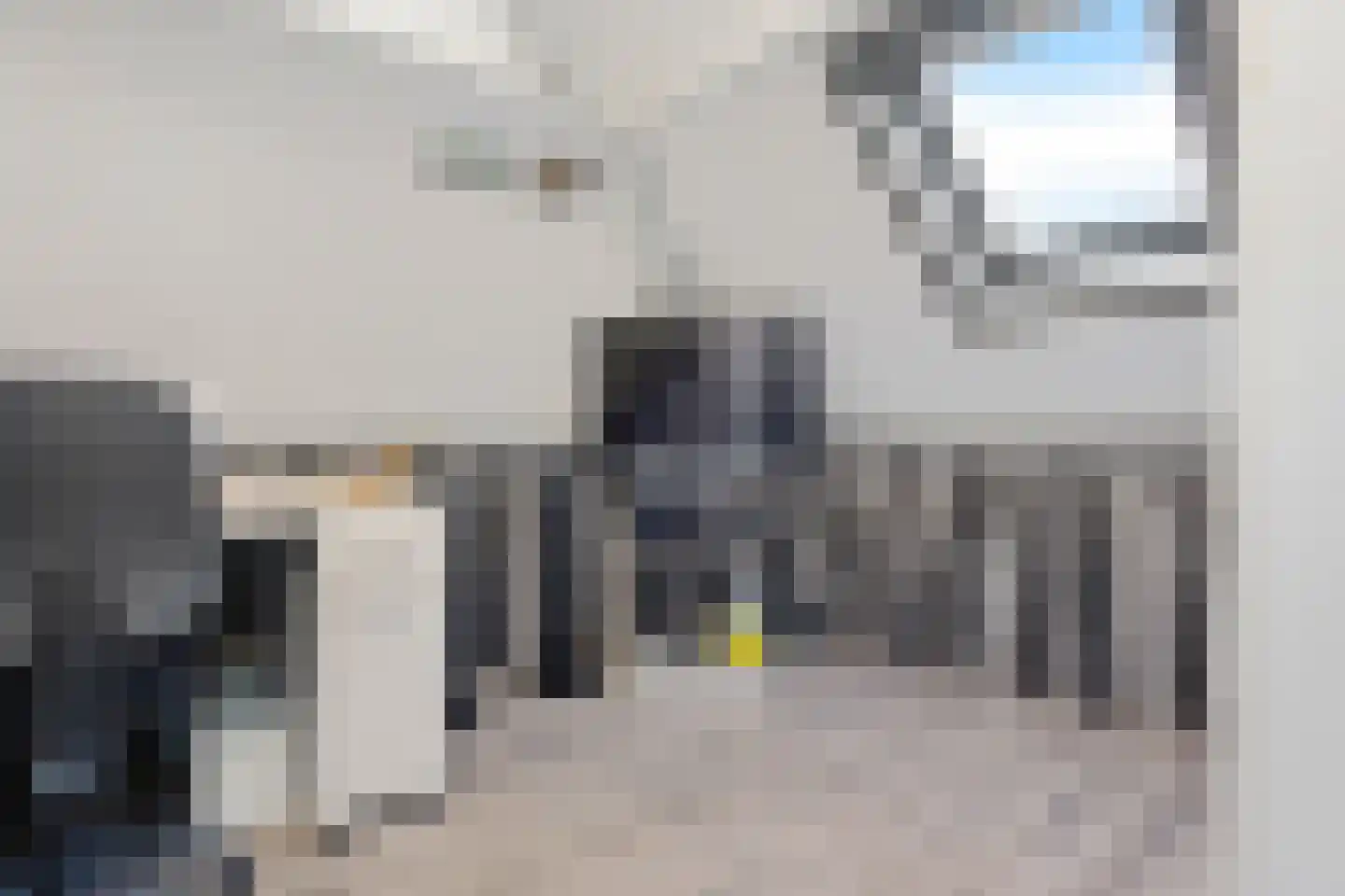Hoenderhei 29 Best thumbnail 28