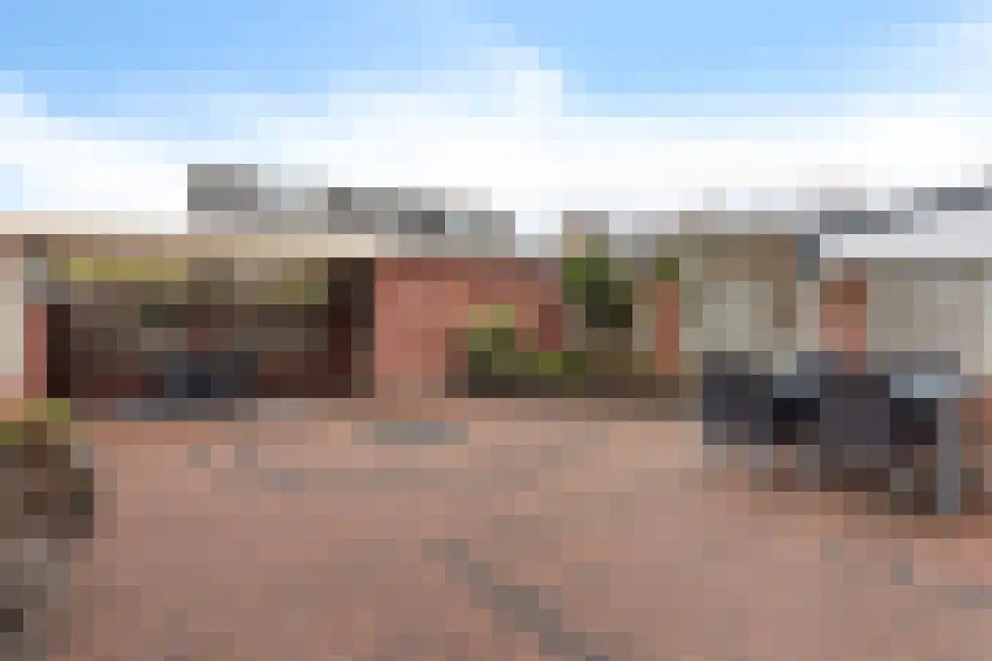 Hoenderhei 29 Best foto 3