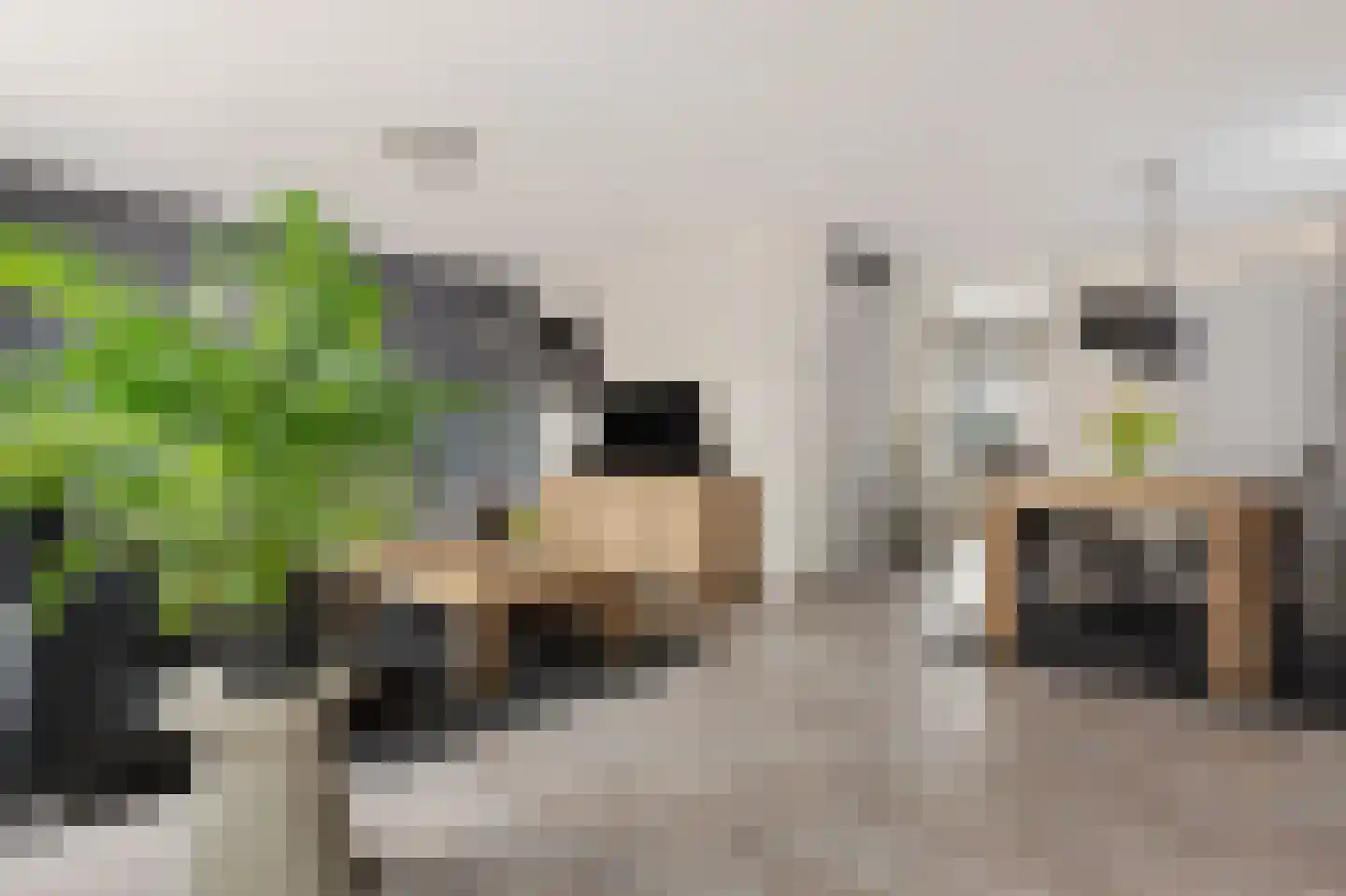 Hoenderhei 29 Best thumbnail 4