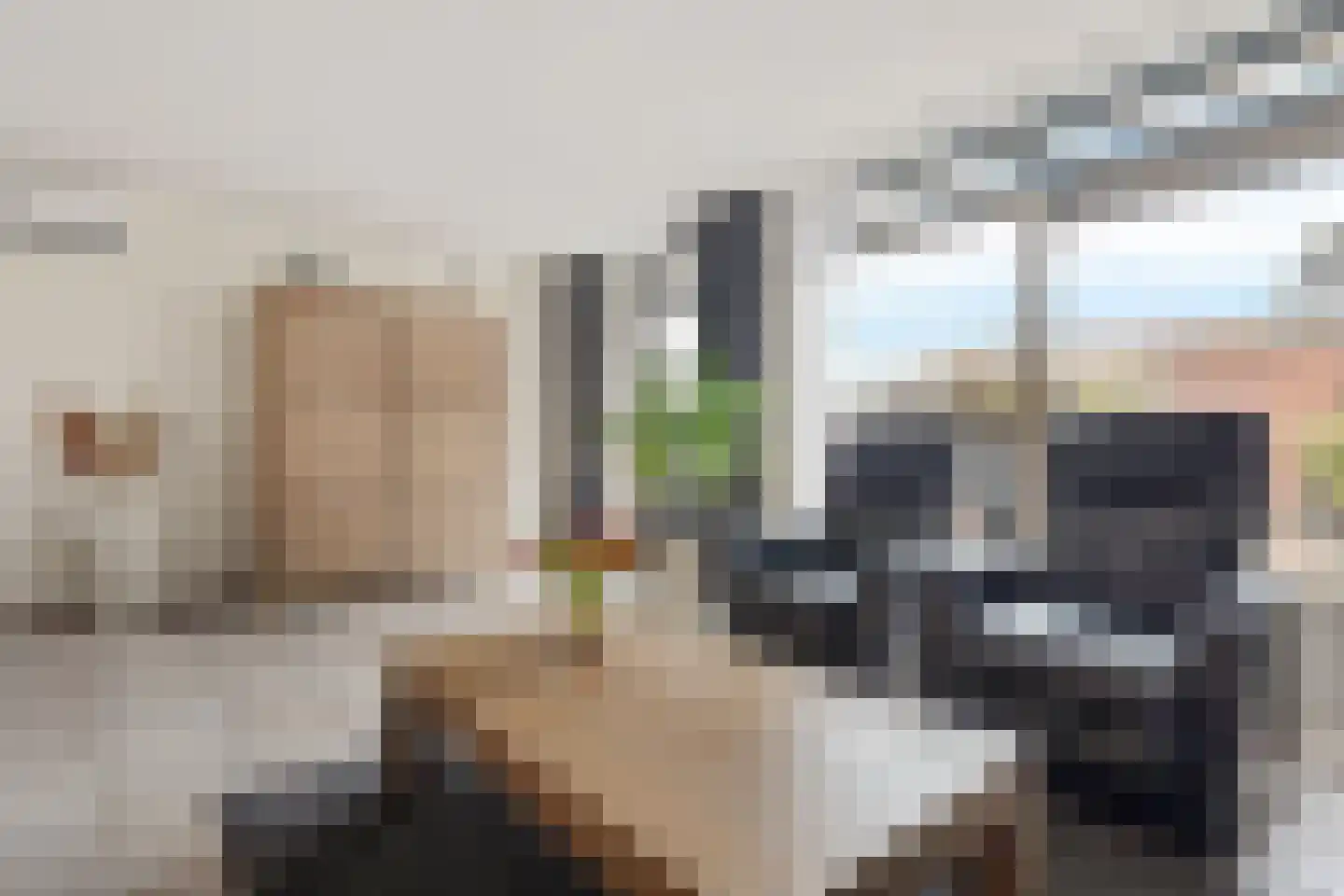 Hoenderhei 29 Best thumbnail 7