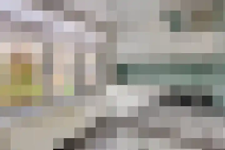 Hoenderhei 49 Best thumbnail 10