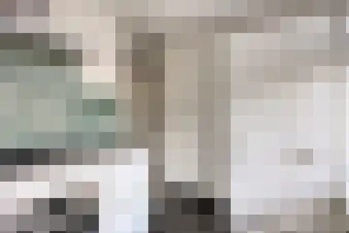 Hoenderhei 49 Best thumbnail 11