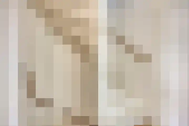 Hoenderhei 49 Best thumbnail 13
