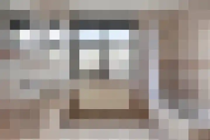 Hoenderhei 49 Best thumbnail 16