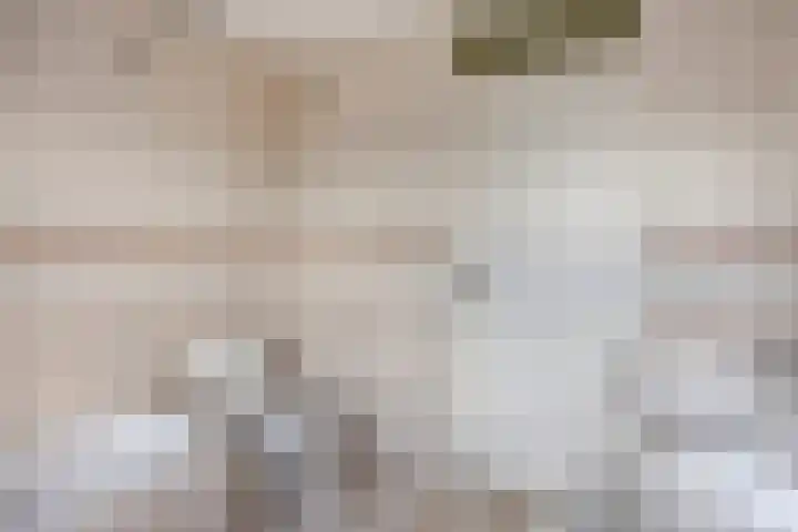 Hoenderhei 49 Best thumbnail 18