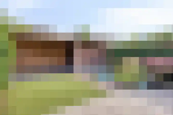 Hoenderhei 49 Best foto 2