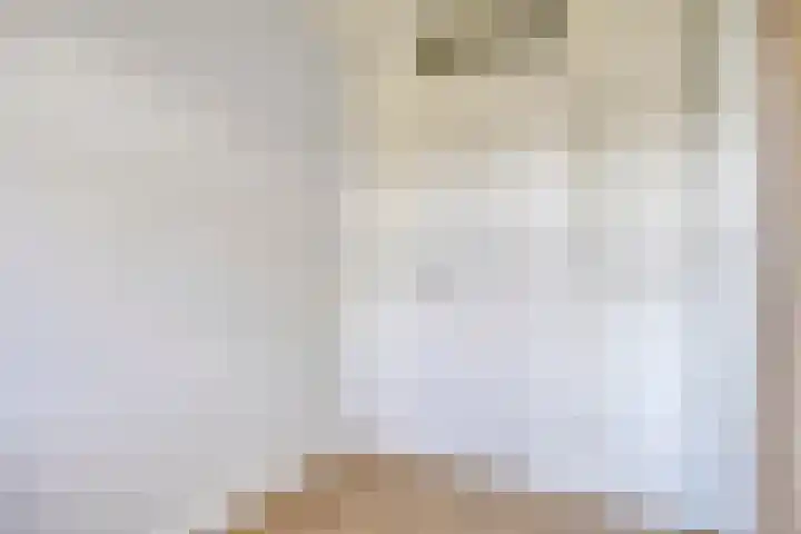 Hoenderhei 49 Best thumbnail 20