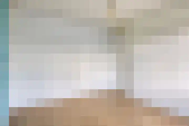 Hoenderhei 49 Best thumbnail 22